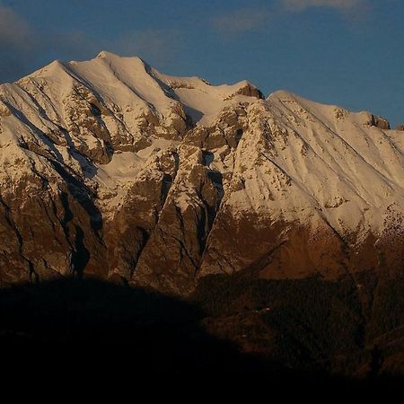 Bed and Breakfast Catif Ladru Cerveno Exterior foto